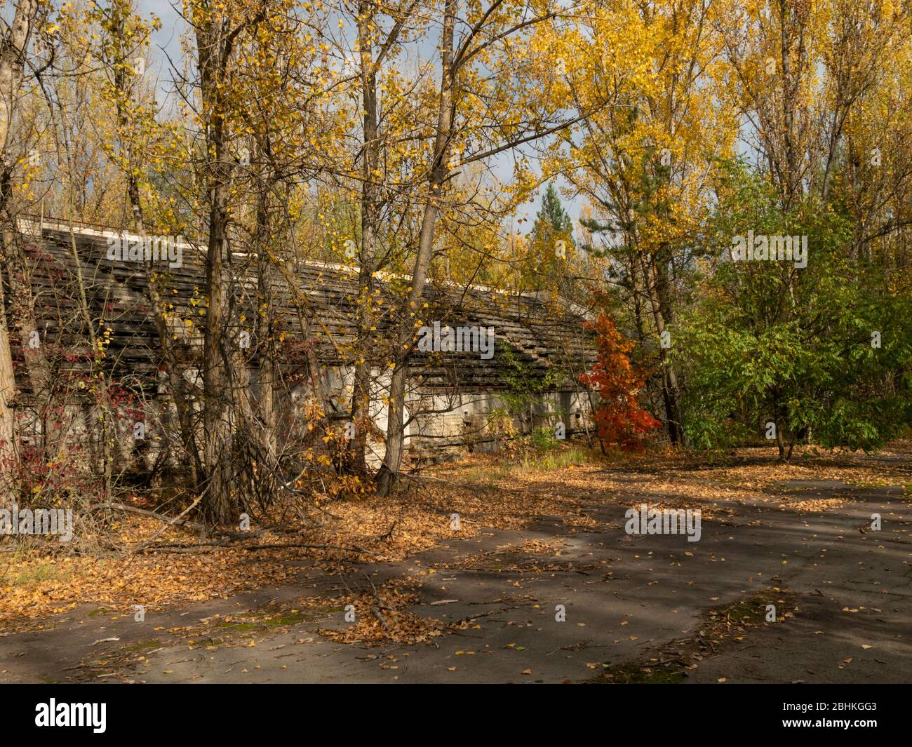 Tribuna abbandonata dello stadio Avangard, presa dalla natura nella città fantasma Pripyat nella zona di esclusione di Chernobyl. Ucraina Foto Stock
