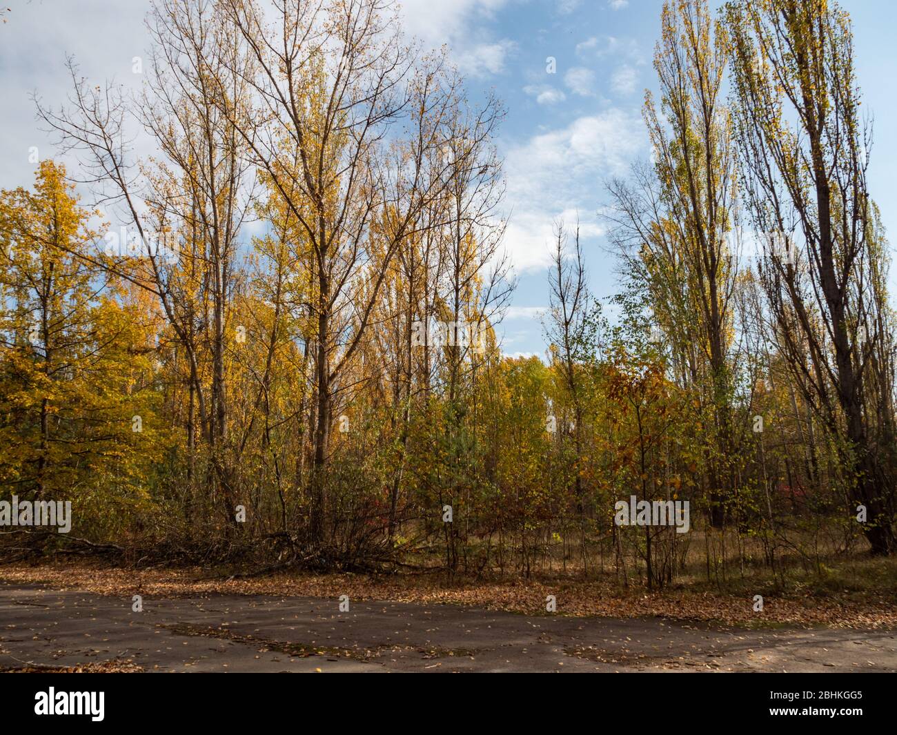 Stadio sportivo chiamato Avangard in città abbandonata Pripyat cresciuto da alberi e cespugli. Zona di esclusione di Cernobyl. Ucraina Foto Stock
