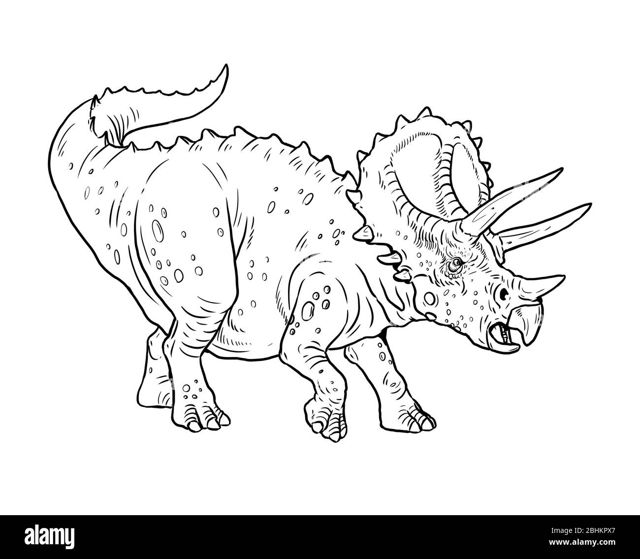 Dinosauro erbivoro - Styracosauro. Disegno del contorno Dino. Foto Stock