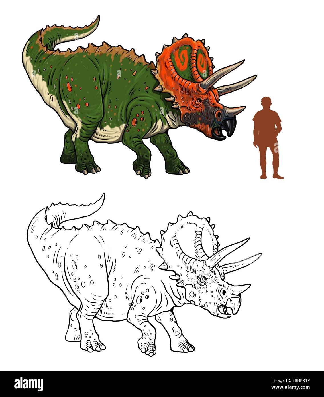 Dinosauro erbivoro - Triceratops. Confronto tra dinosauro e umano. Pagina Dino Coloring. Foto Stock