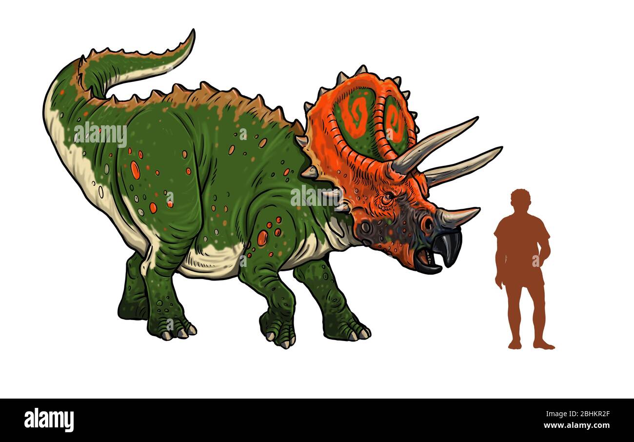 Dinosauro erbivoro - Triceratops. Confronto tra dinosauro e umano. Pagina Dino Coloring. Foto Stock