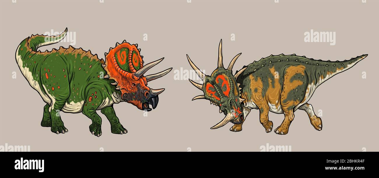 Un confronto delle dimensioni dei dinosauri. Triceratops e Styracosaurus. Dinosauri da combattimento. Foto Stock
