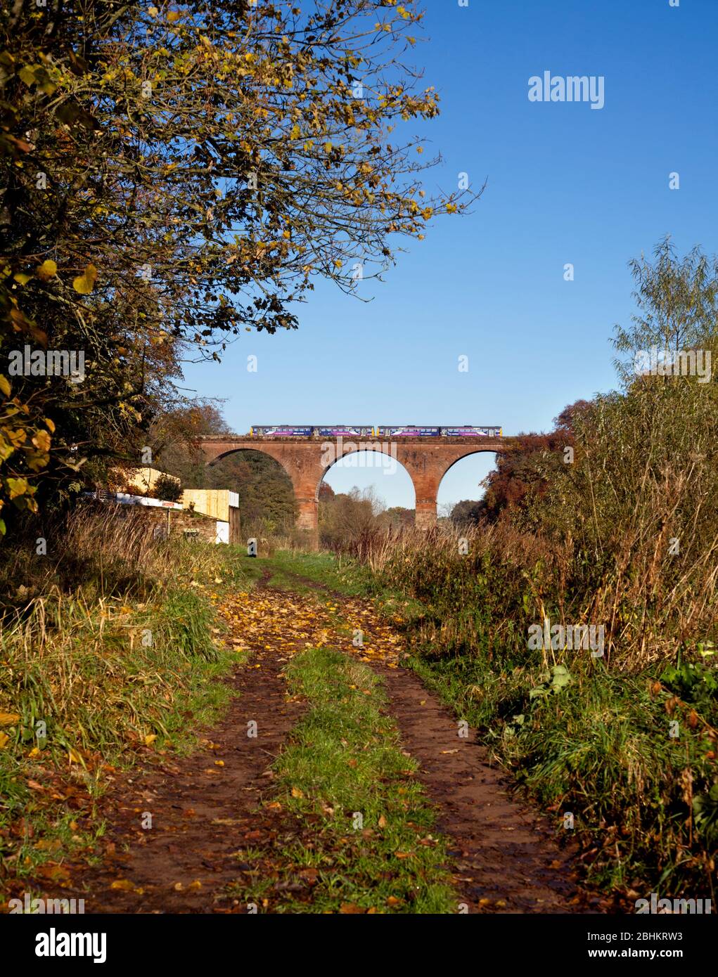 2 treni nordici di classe 142 pacer che attraversano il viadotto di Wetheral , sulla linea della valle di Tyne con partenze autunnali Foto Stock