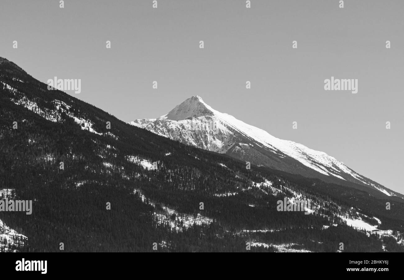 vista ravvicinata della cima della montagna con alberi e neve durante la giornata primaverile. Foto Stock