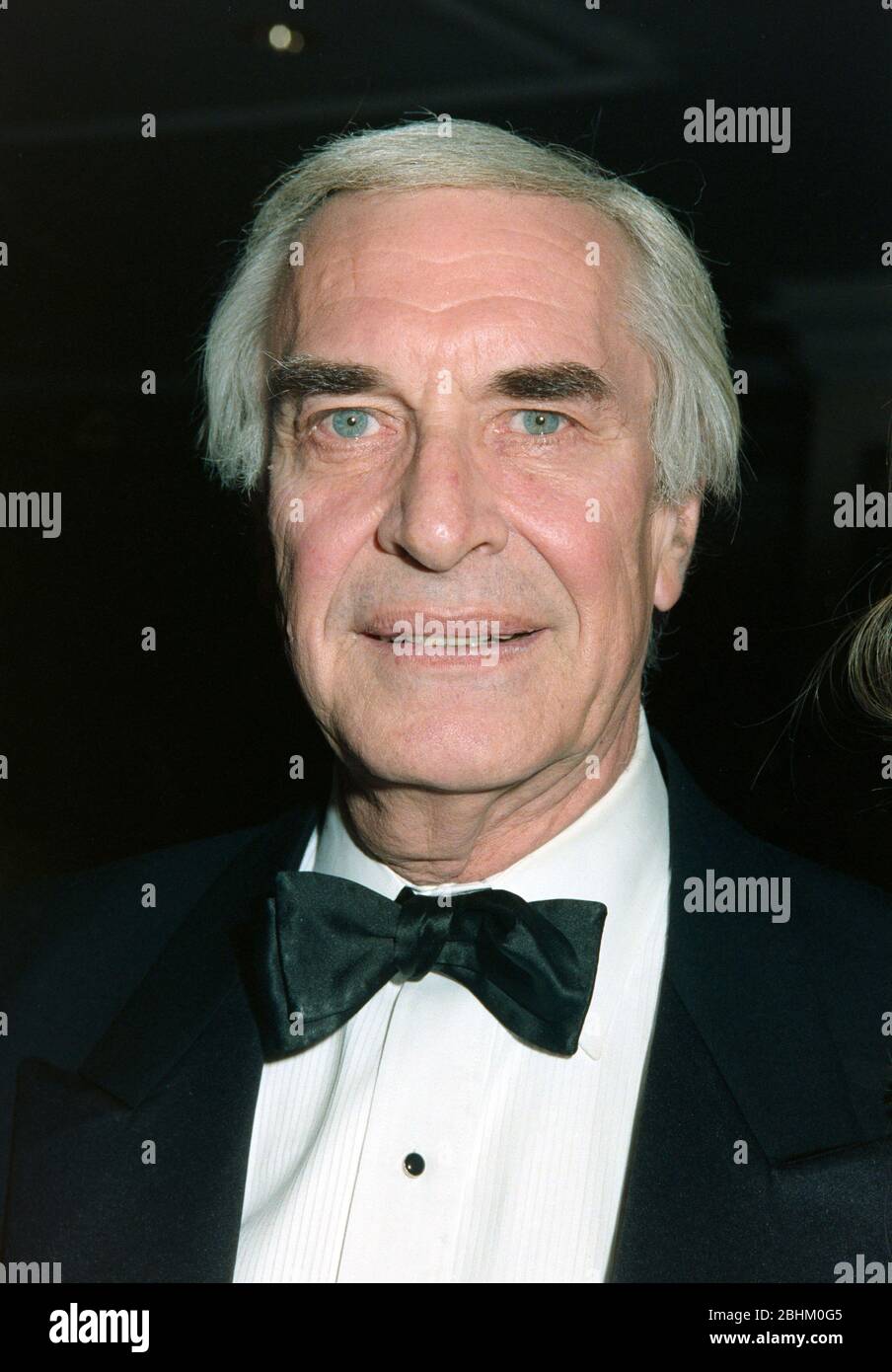 LOS ANGELES, CA. c.A.1994: Attore Martin Landau. Foto file © Paul Smith/Featureflash Foto Stock