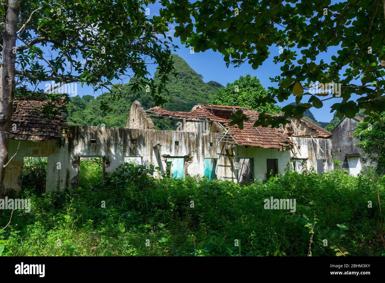 Abbandonata casa in rovina nella giungla. I resti di pareti e piastrelle. Cat Ba, Vietnam Foto Stock
