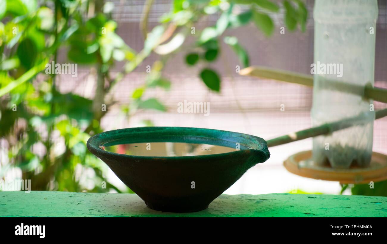 acqua in vaso di creta per gli uccelli in estate calda Foto Stock