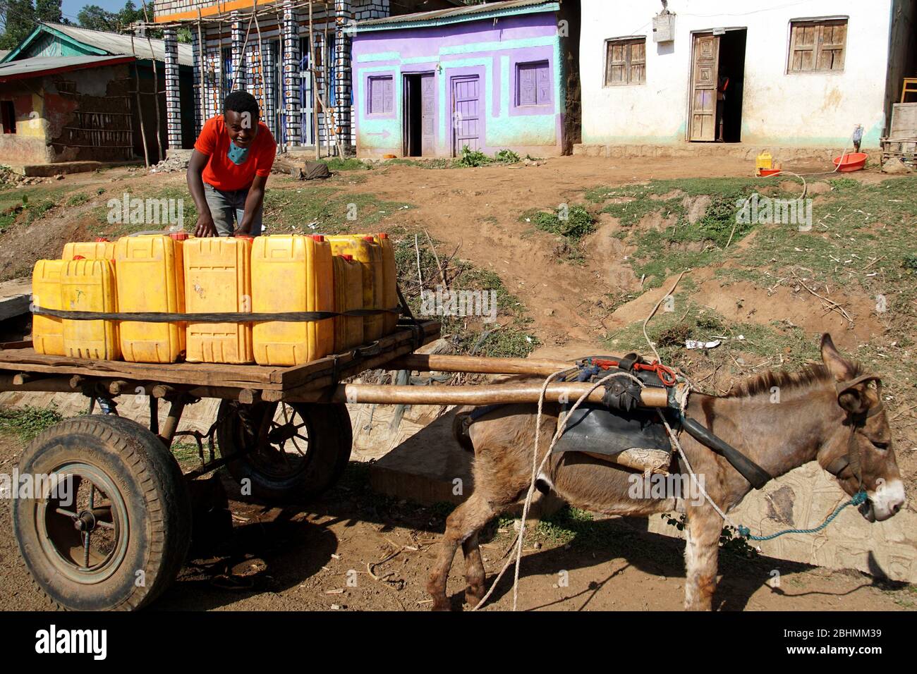 Asino Cart consegna di acqua in contenitori gialli alle famiglie locali Foto Stock