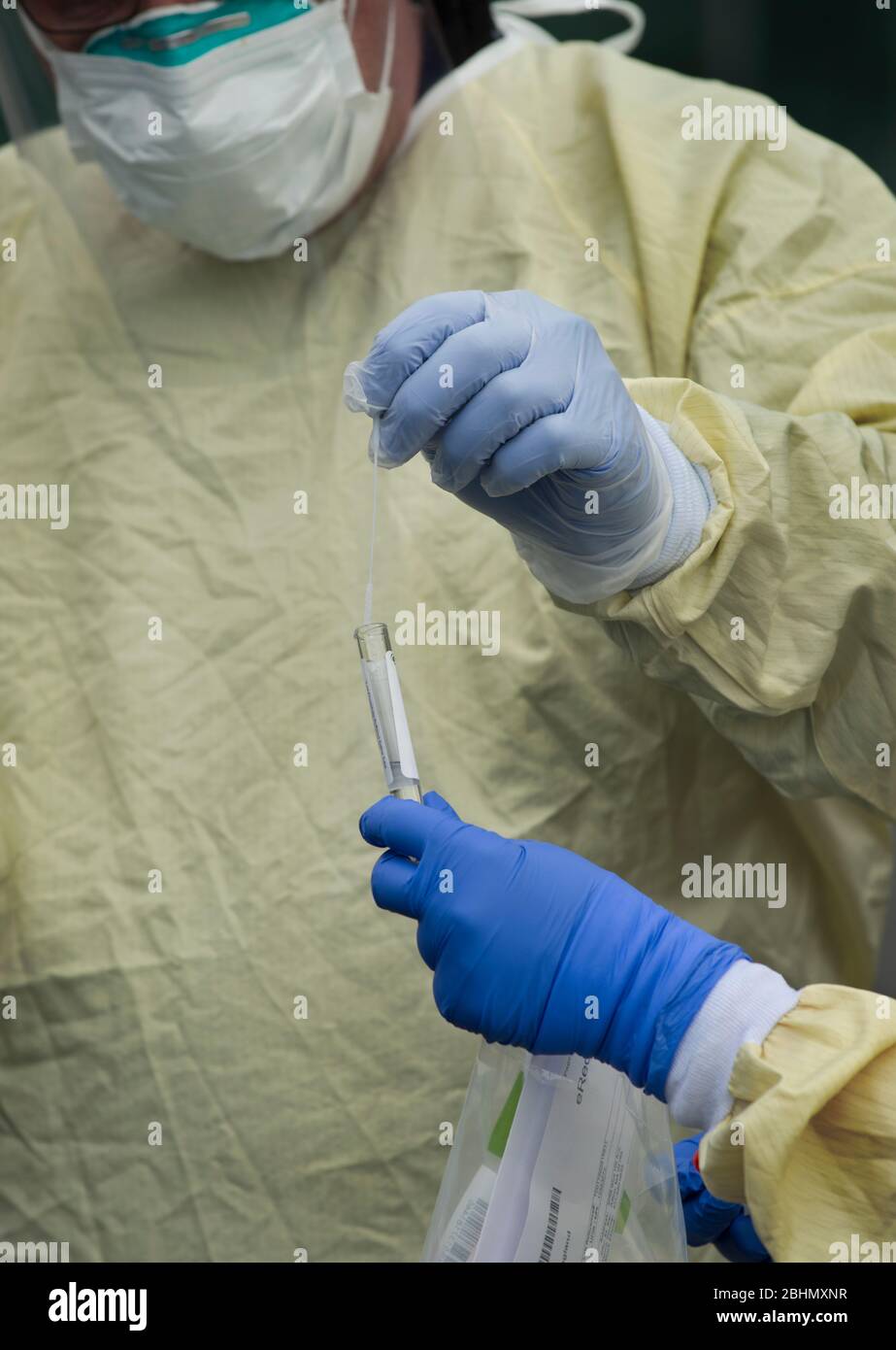 Guidare attraverso i test COVID-19, Medford, Massachusetts, USA. 25 aprile 2020. Tecnico medico che posiziona il tampone nasale nella provetta presso PhysicianOne urgent Care. Foto Stock