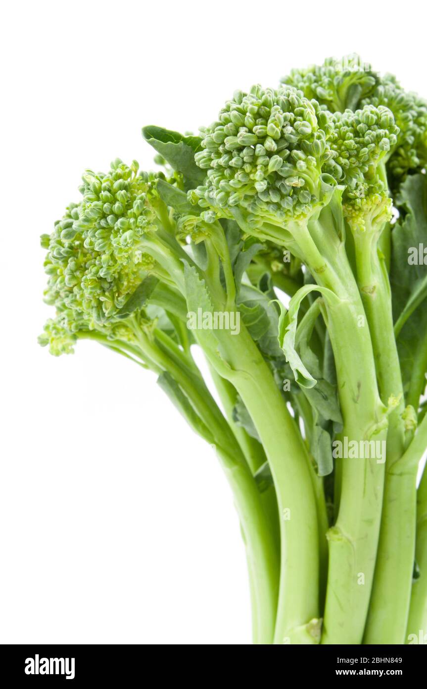 Broccolini baby broccoli isolato su bianco Foto Stock