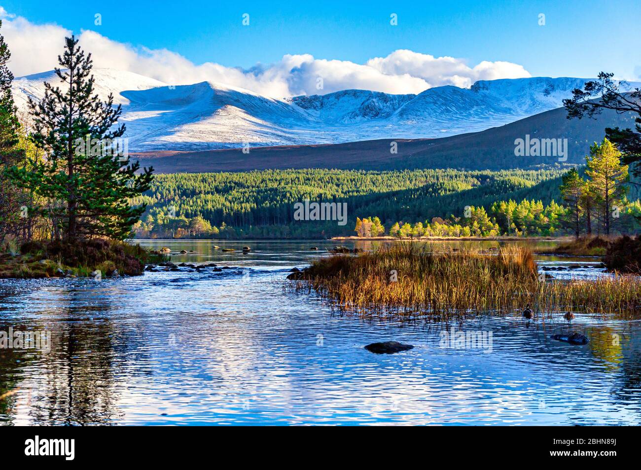 Snowclad Cairngorms in Glenmore Speyside Highland Scozia Regno Unito visto da Loch Morlich in autunno Foto Stock