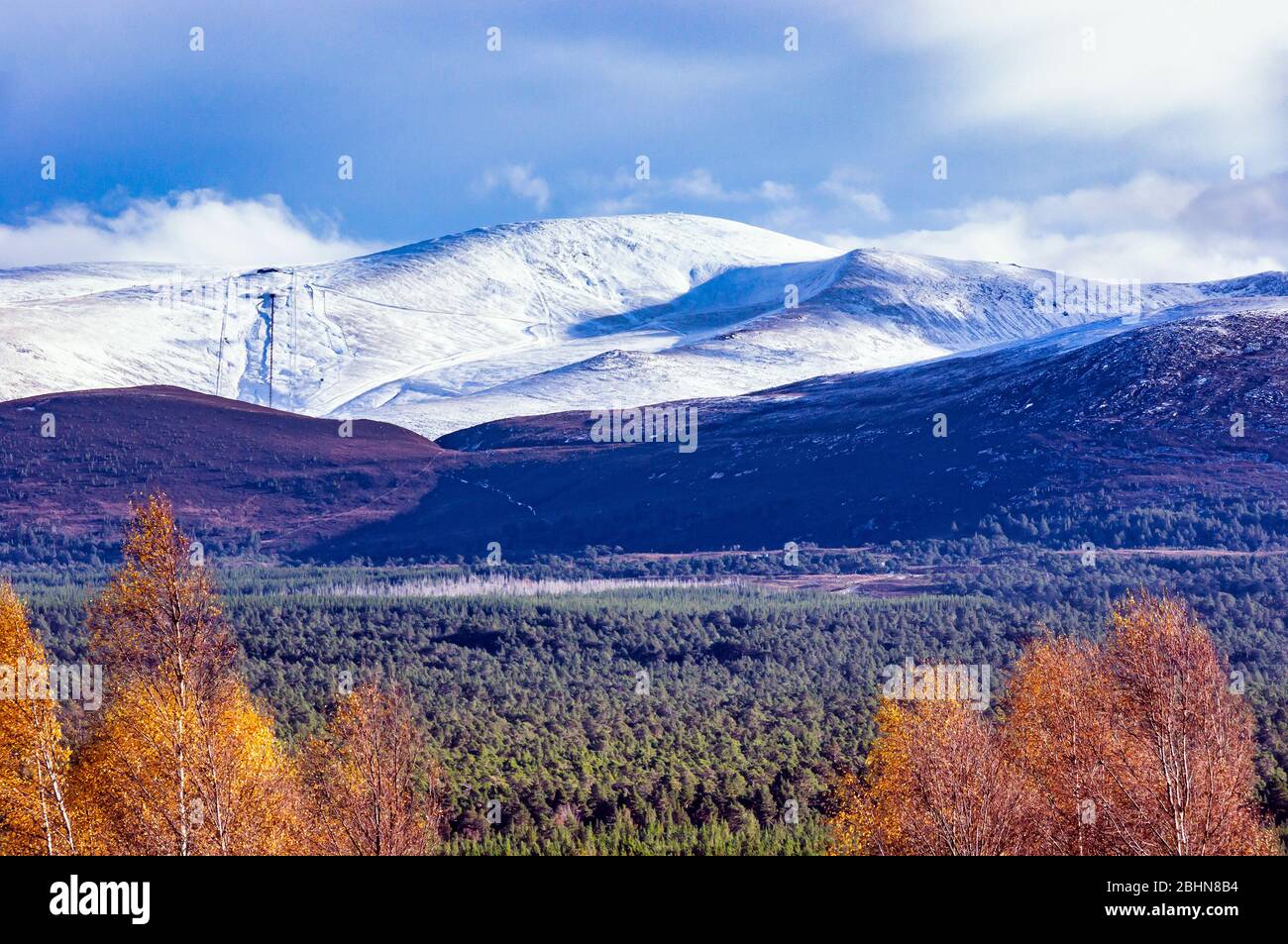 Snowclad Cairngorms con Cairngorm in Speyside Highland Scozia Regno Unito visto da Tullochgrue in Rothiemurchus vicino Aviemore Foto Stock