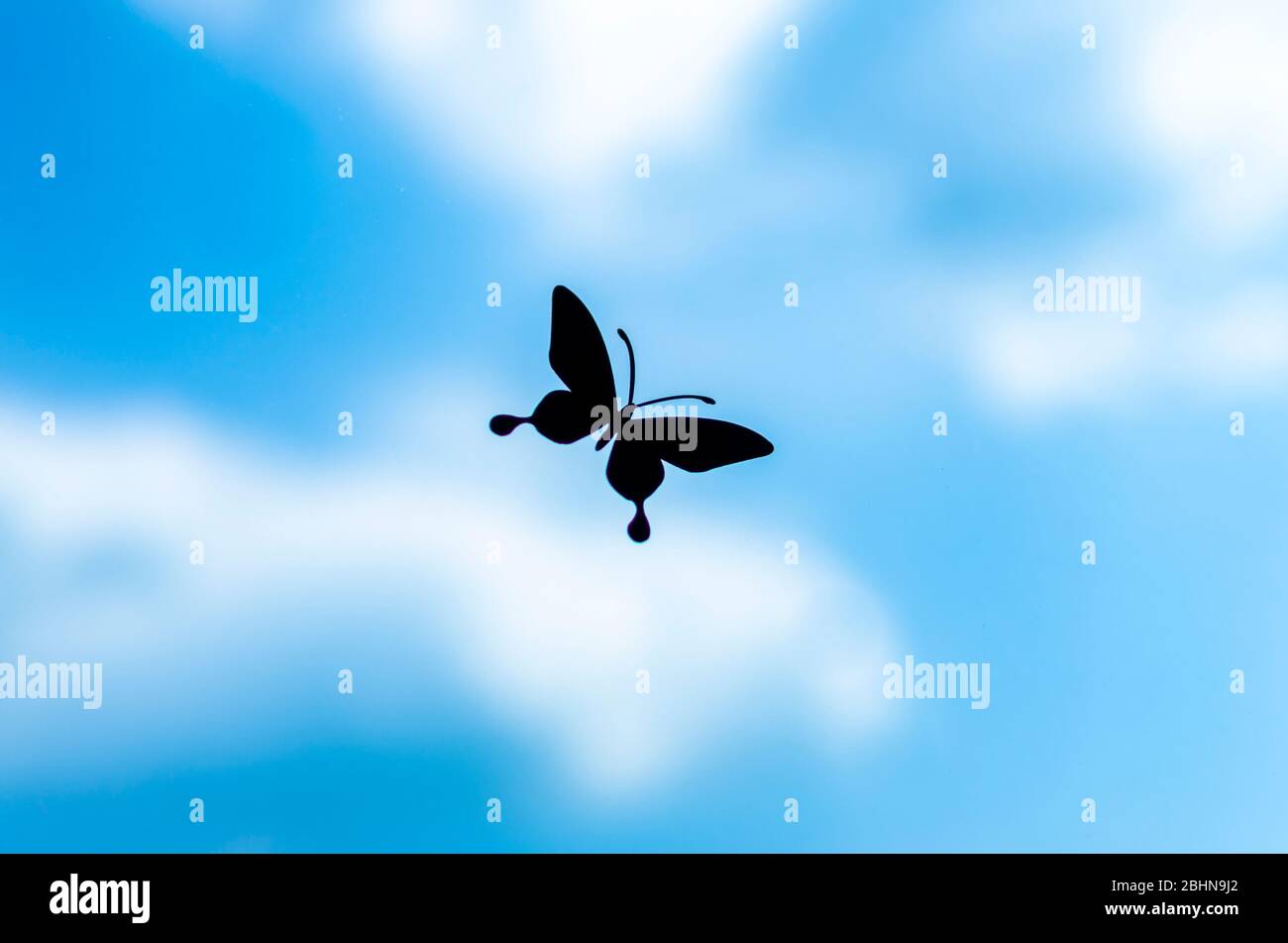 farfalla su sfondo blu cielo Foto Stock