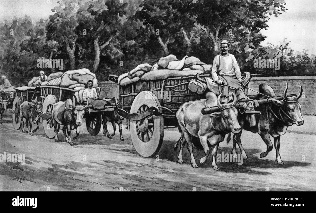 Halftone di un convoglio di carri di bue che trasportano le merci in India Foto Stock