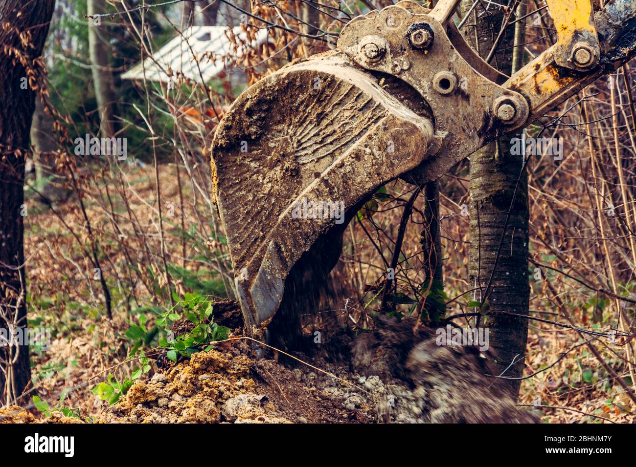 Un escavatore nella foresta scava una siviera per l'allevamento del pesce. 2019 Foto Stock