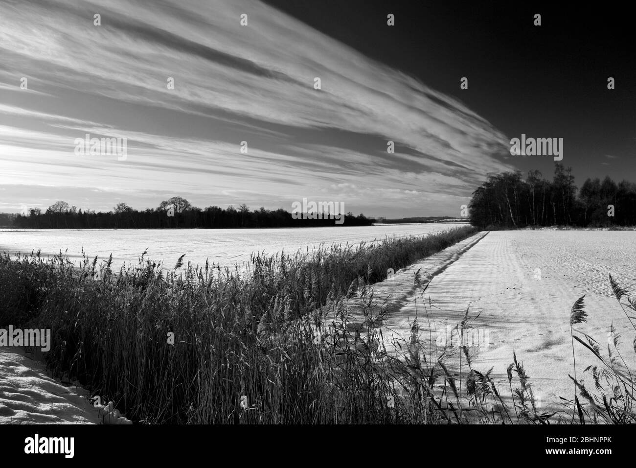 Neve invernale a Holme Fen, il terreno più basso della Gran Bretagna, Holme villaggio, Cambridgeshire, Inghilterra, Regno Unito Foto Stock