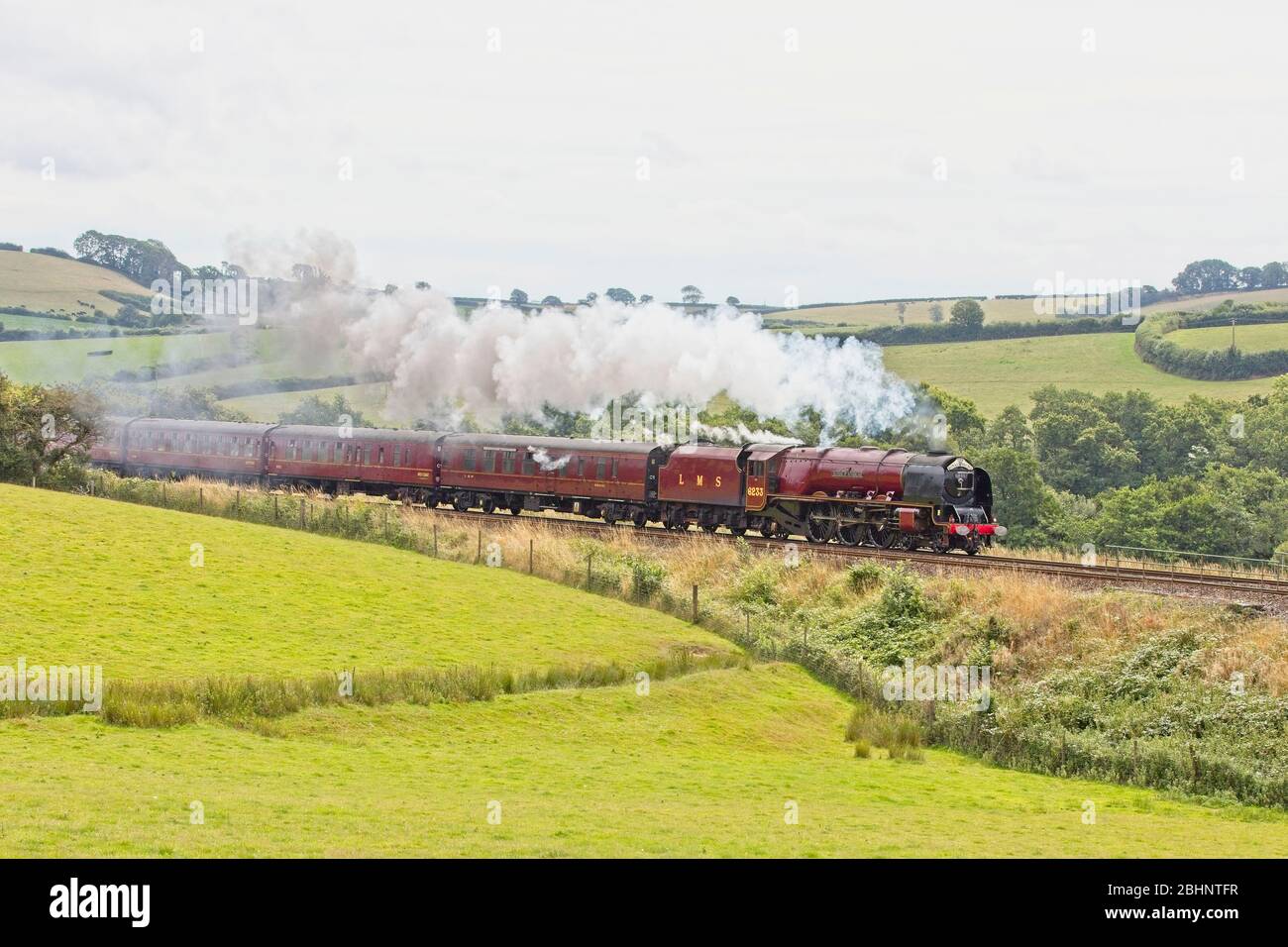 Locomotiva a vapore conservata 6233 'Duchess of Sutherland', che traeva un treno passeggeri attraverso la campagna del Devon, Inghilterra, Regno Unito. Foto Stock