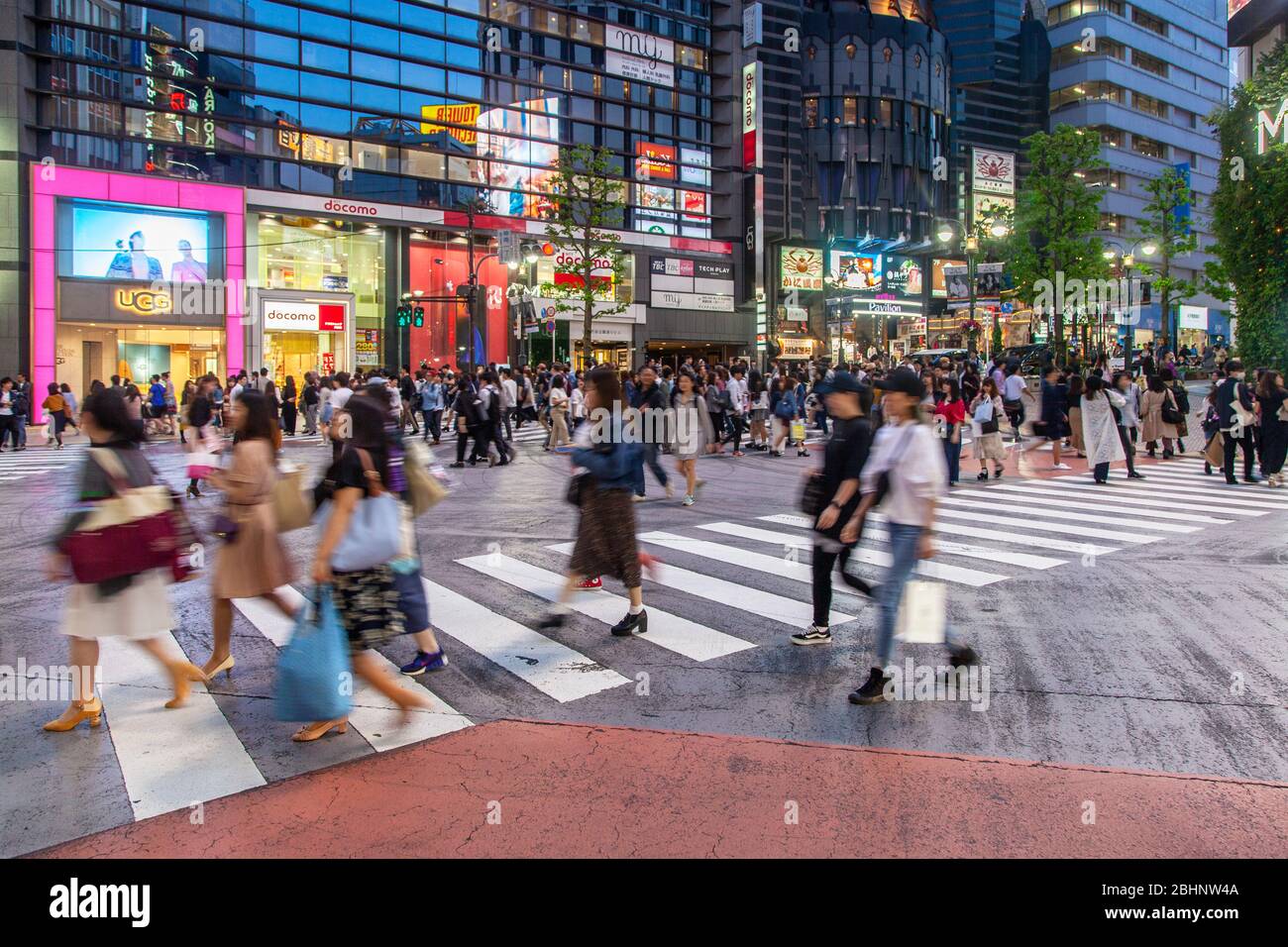 Tokyo, Giappone: Shrine St / Koen Dori Crossing Foto Stock