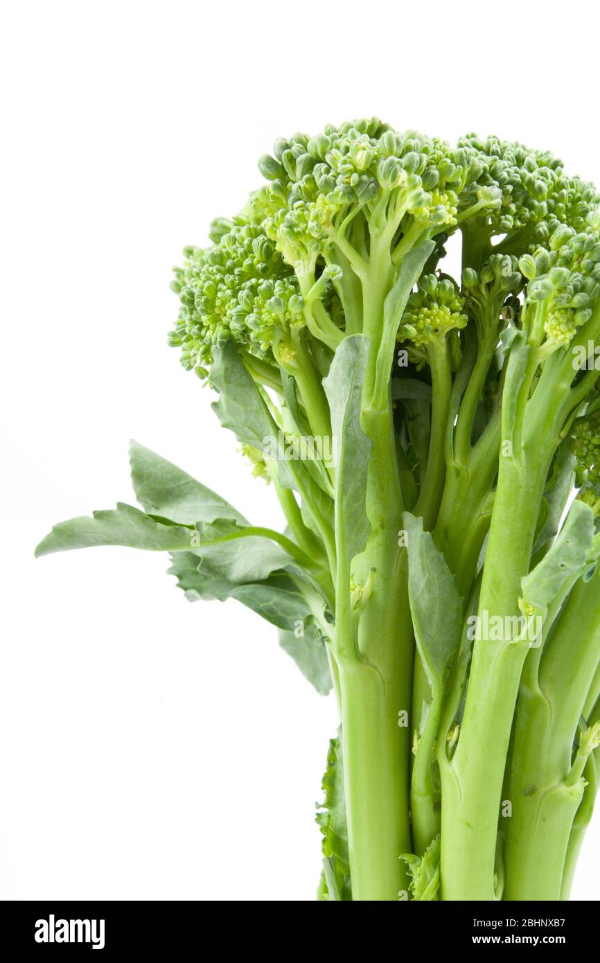 Broccolini baby broccoli isolato su bianco Foto Stock