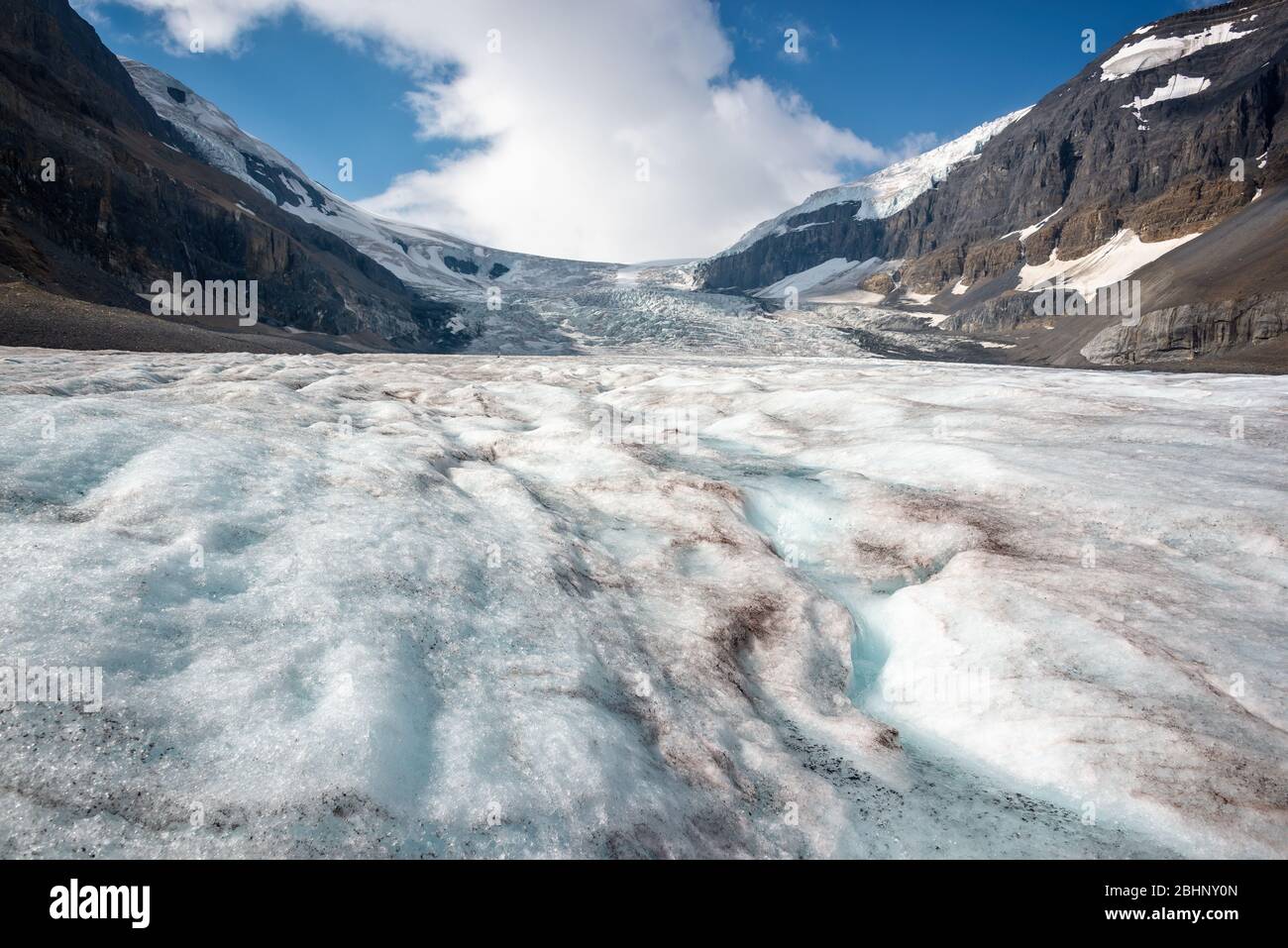 Ghiacciaio Athabasca in Columbia Icefield, Parco Nazionale Jasper, Montagne Rocciose, Alberta, Canada Foto Stock