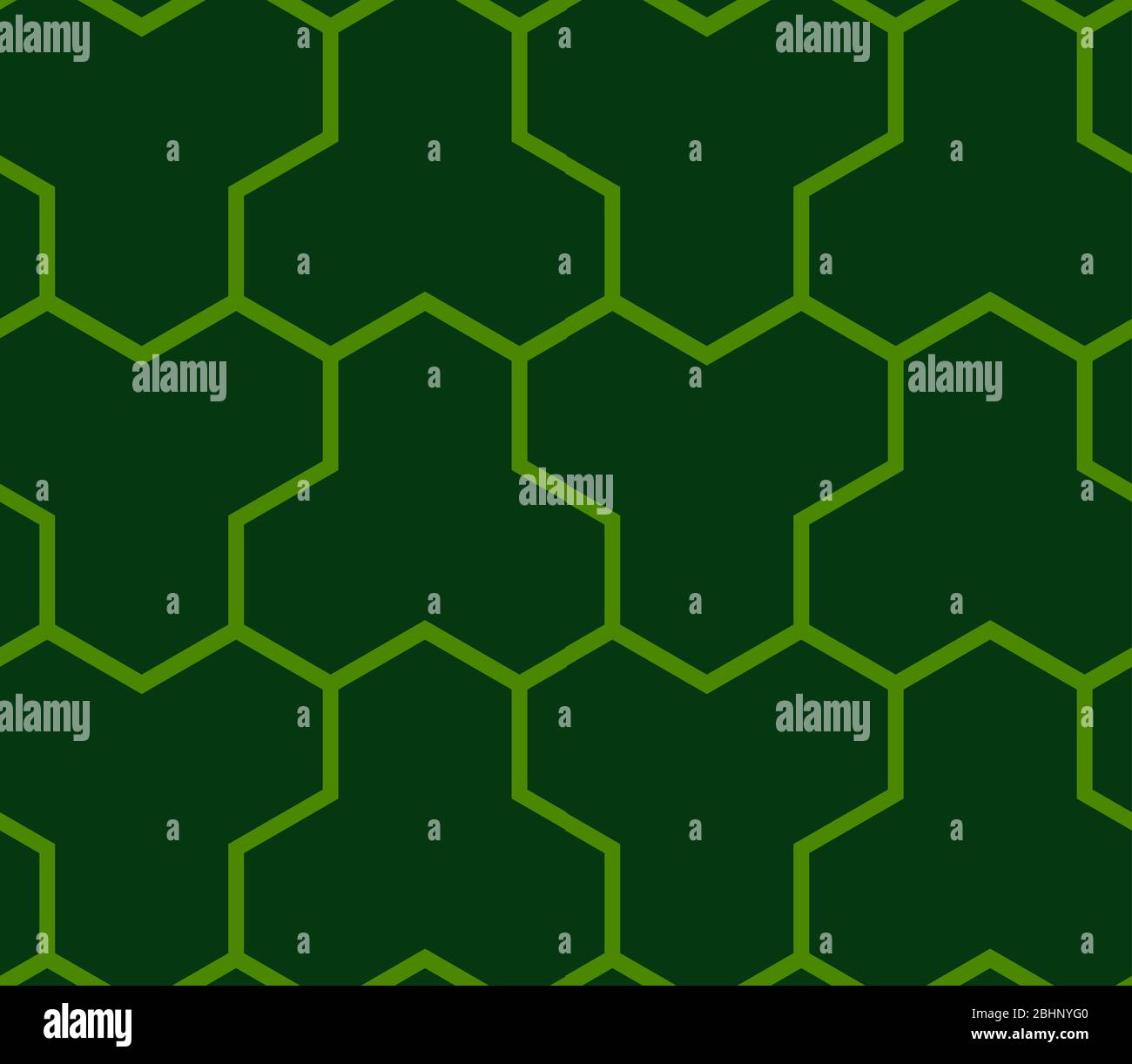 Questa è un'illustrazione del modello giapponese senza giunture che rappresenta il guscio della tartaruga Illustrazione Vettoriale