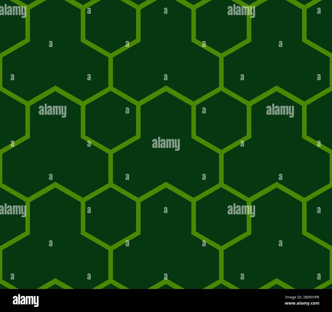 Questa è un'illustrazione del modello giapponese senza giunture che rappresenta il guscio della tartaruga Illustrazione Vettoriale