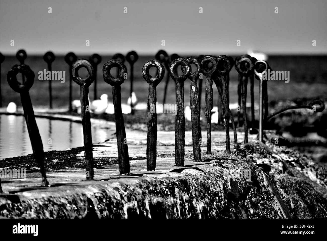 Recinto arrugginito bianco e nero Foto Stock