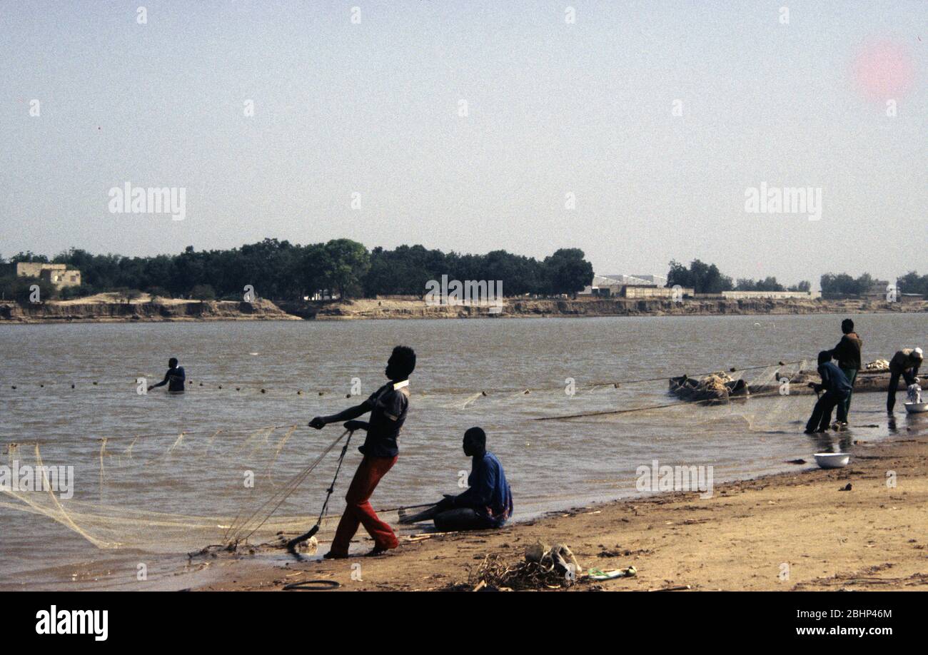 Pesca netta sul fiume Chari, Ciad Foto Stock