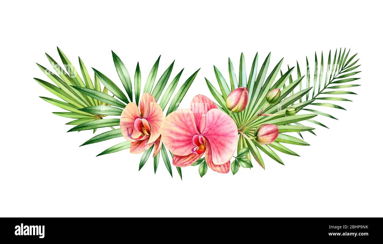 Acquerello Orchidea arco. Grandi fiori arancioni e rosa, foglie di palma. Sfondo tropicale floreale dipinto a mano. Illustrazioni botaniche isolate su bianco Foto Stock