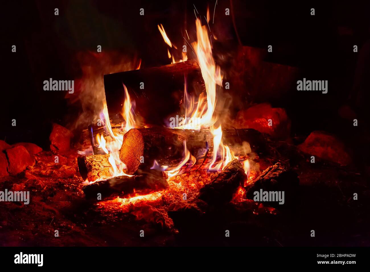 fuoco di campo di primo piano di notte . Foto Stock