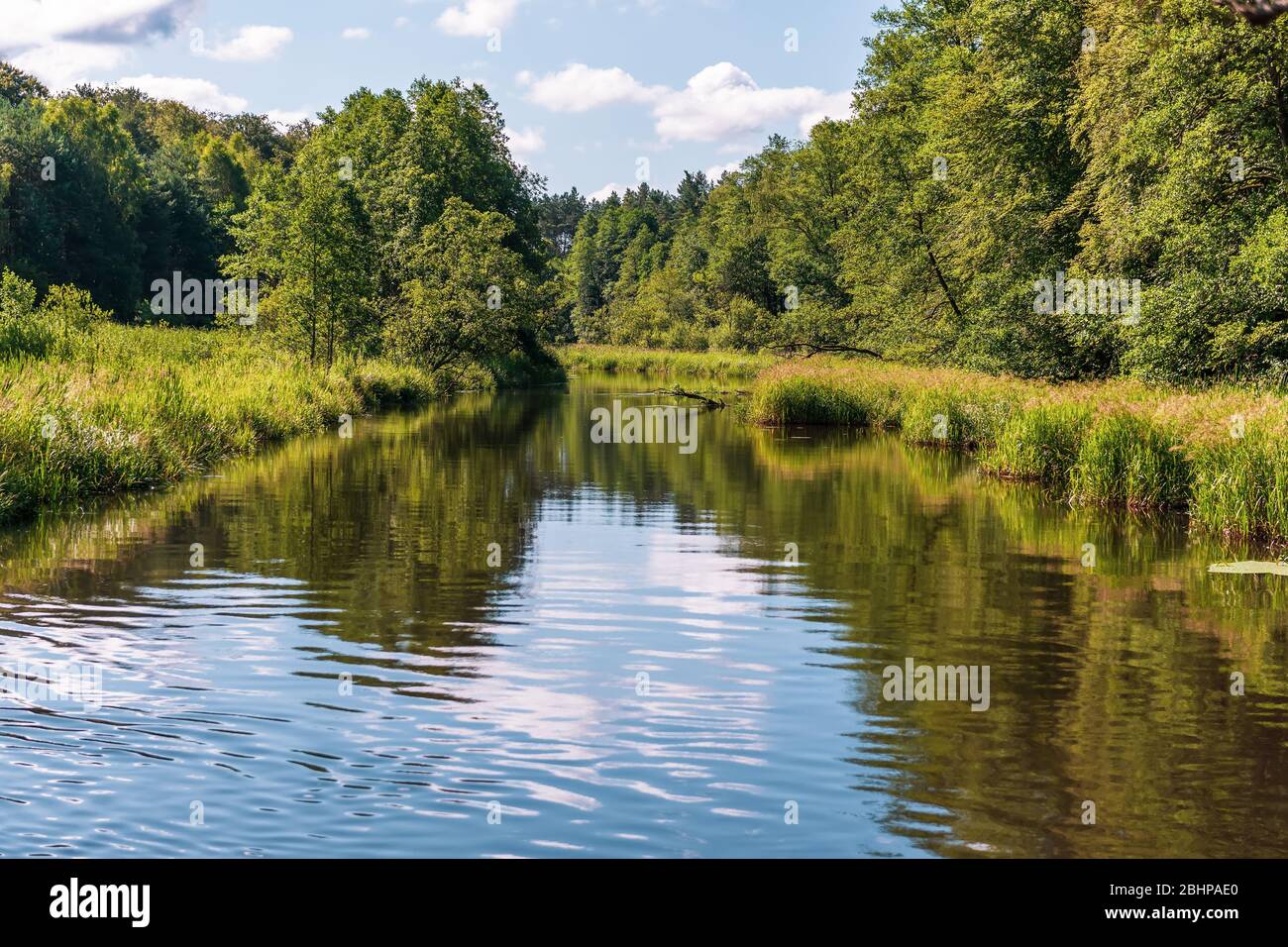 Foresta fiume acqua riflessione paesaggio. Kayak e turismo forestale Foto Stock