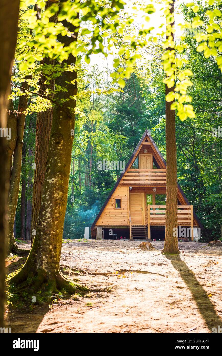 Tranquilla foresta scena. Casa in legno in una foresta Foto Stock