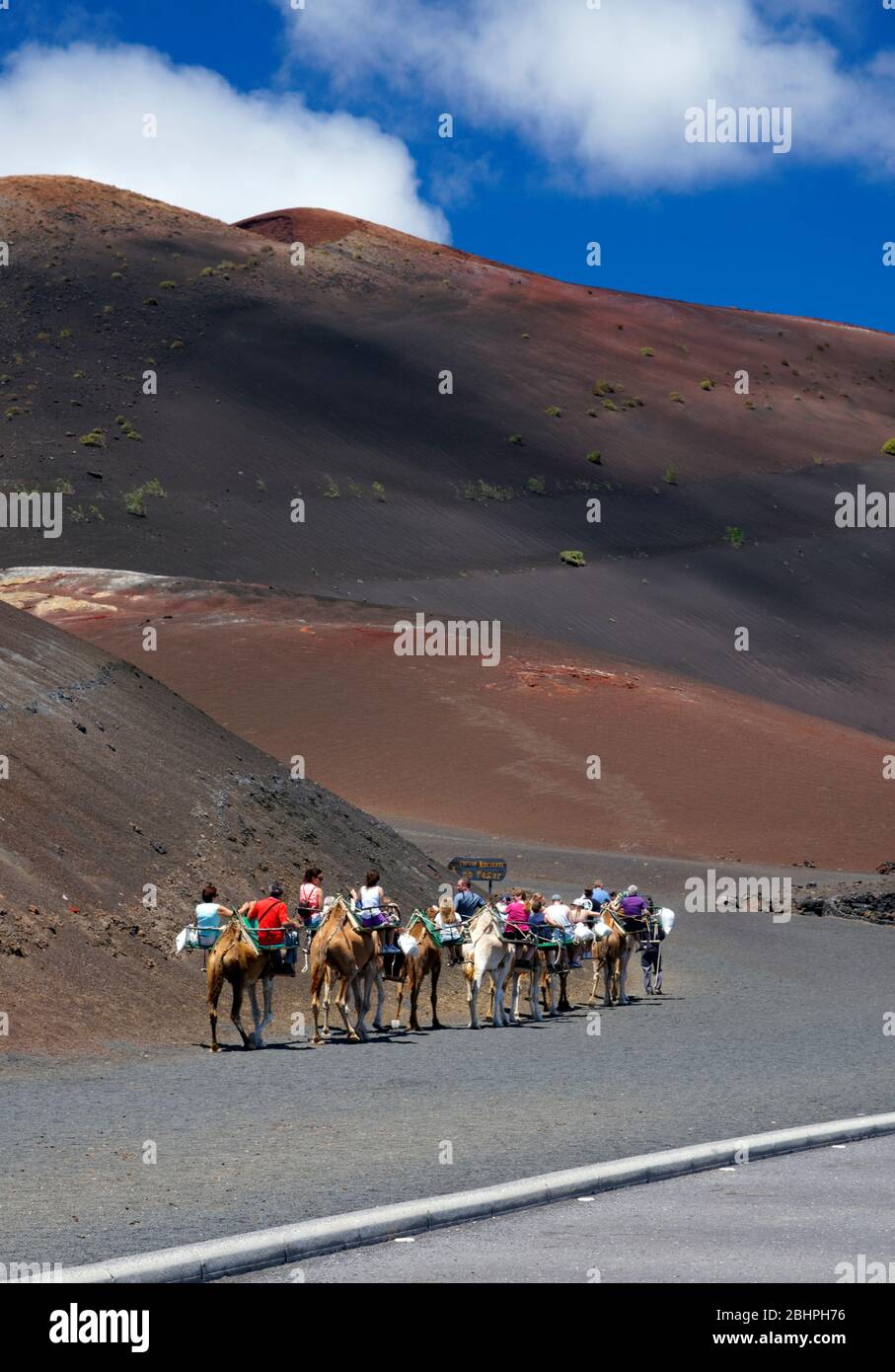 Echadero de los Camellos, Camel Park, il Parque Nacional de Timanfaya, Lanzarote, Isole Canarie, Spagna. Foto Stock