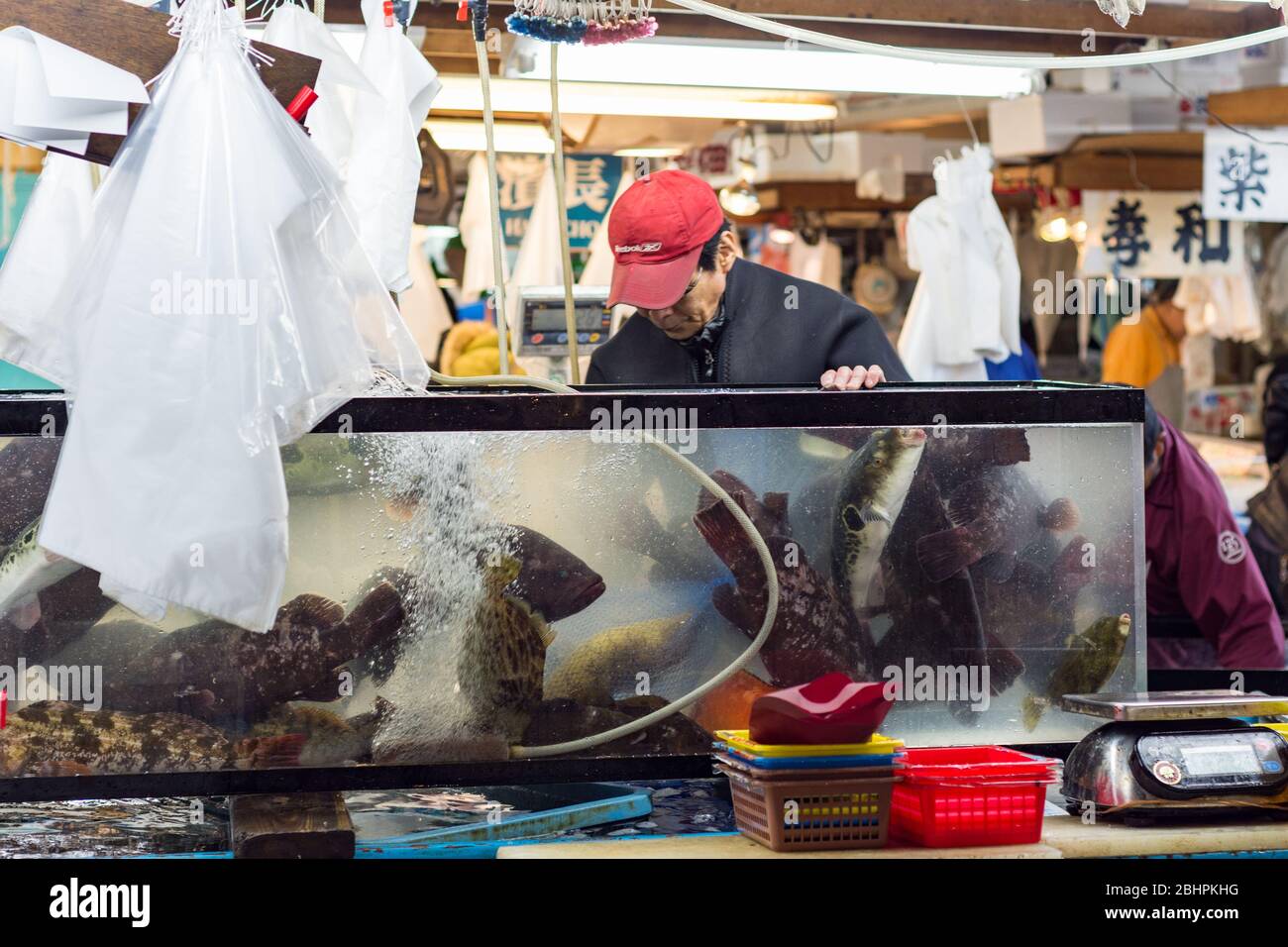 Tokyo / Giappone - 21 ottobre 2017: Mercato del pesce Tsukiji a Tokyo, il più grande mercato del pesce e del pesce all'ingrosso del mondo, che gestisce oltre 2,000 tonnellate di ma Foto Stock