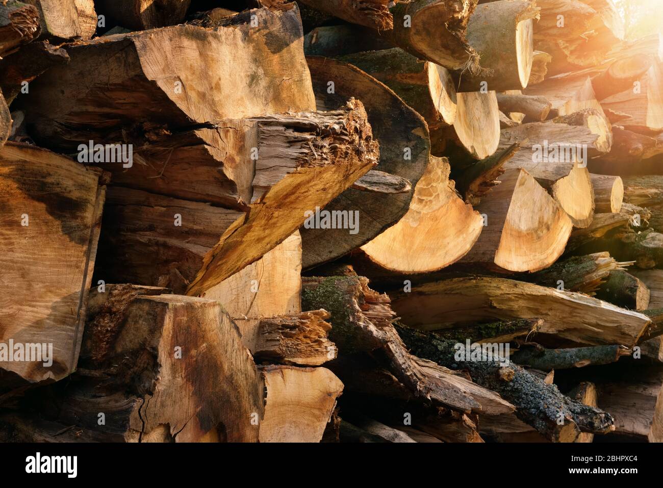 Colpo all'aperto di un mucchio di legna da ardere accatastato illuminato da bei raggi caldi di luce del sole, con colori piacevoli e profondità Foto Stock