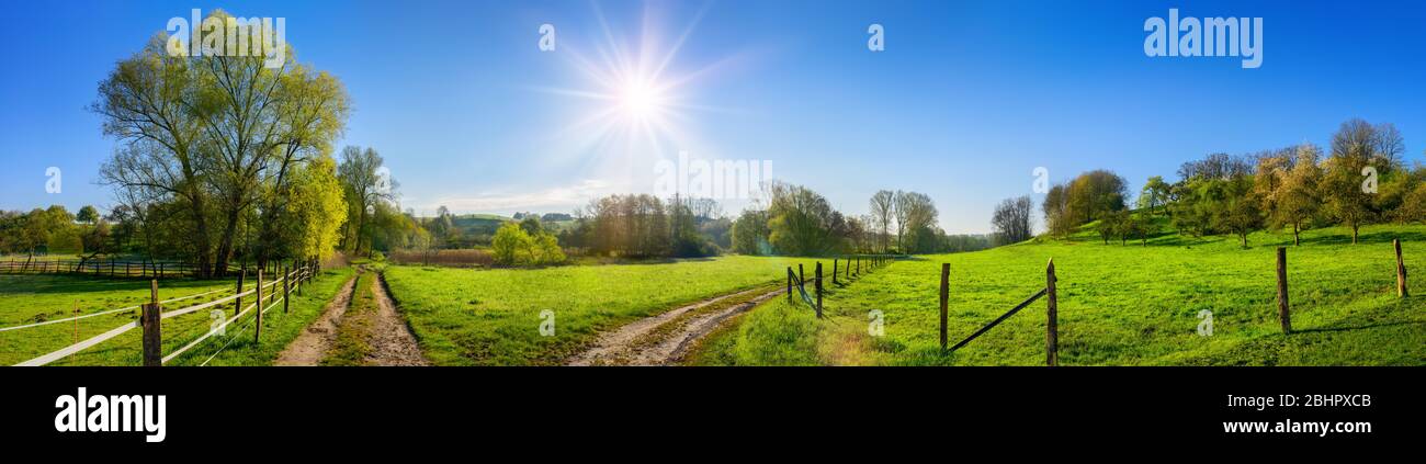 Paesaggio rurale panoramico in colori felici e cordiali, con il sole splendente nel cielo azzurro e strade sterrate che conducono attraverso prati verdi e vivaci Foto Stock