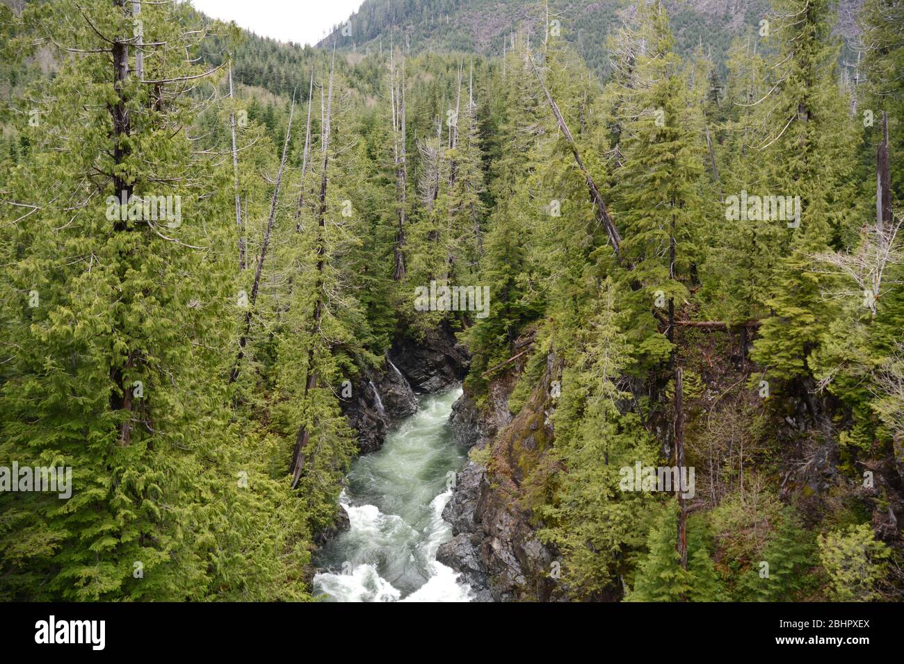 La gola e le rapide del fiume Gordon nella foresta pluviale temperata sulla costa occidentale dell'isola di Vancouver, Port Renfrew, British Columbia, Canada. Foto Stock