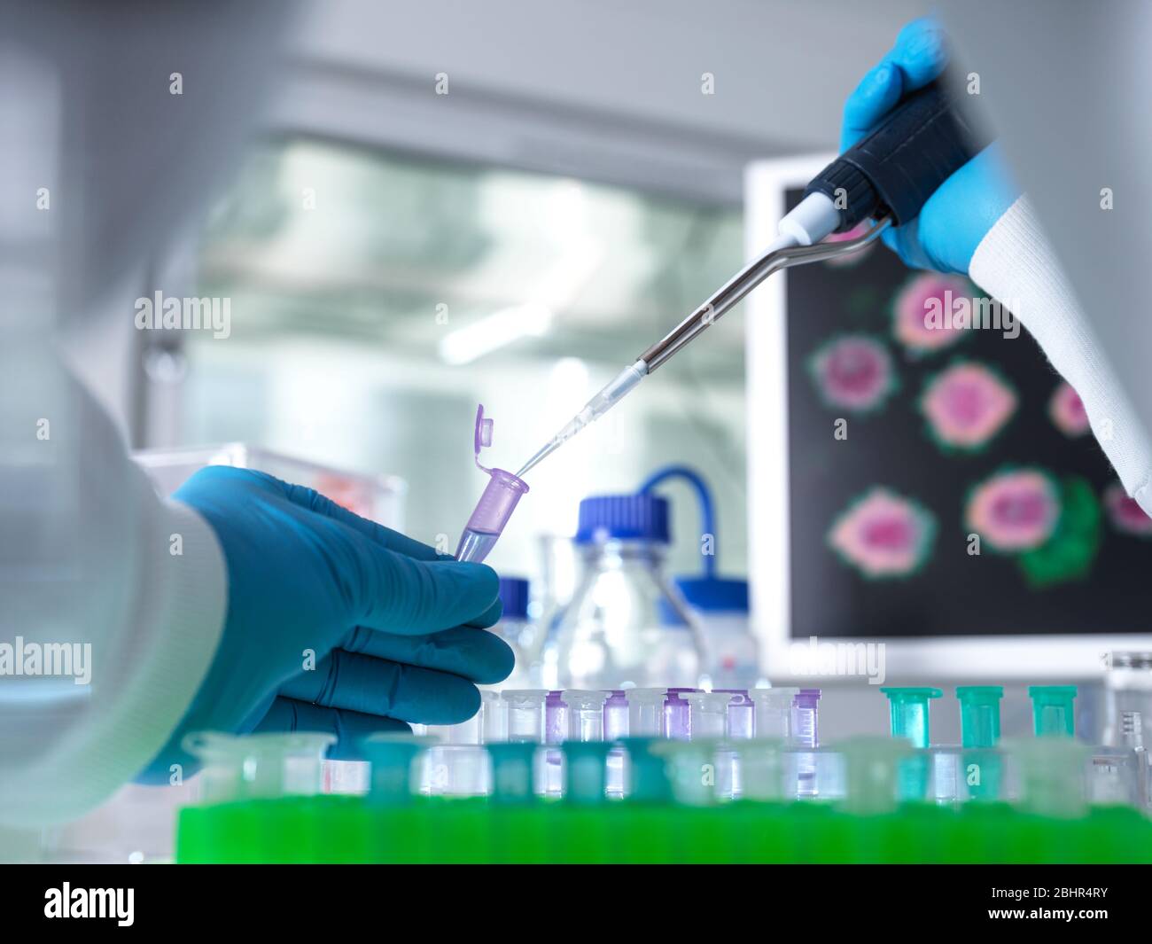 Scienziato che prepara una fiala per campioni per analisi utilizzando una pipetta in laboratorio utilizzata nella ricerca su DNA, medicina e farmacologia. Foto Stock
