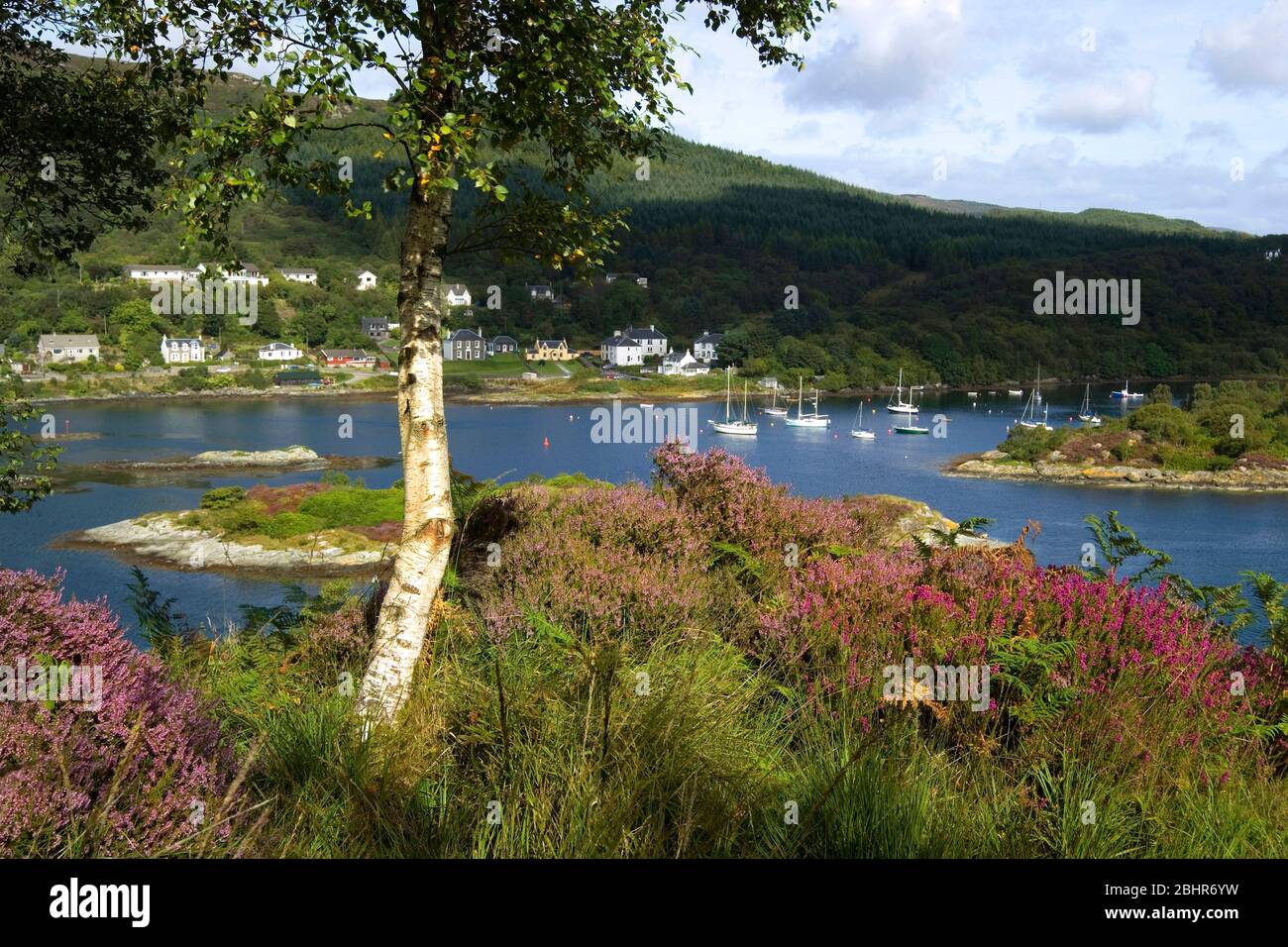 Tarbert, Loch Fyne Foto Stock