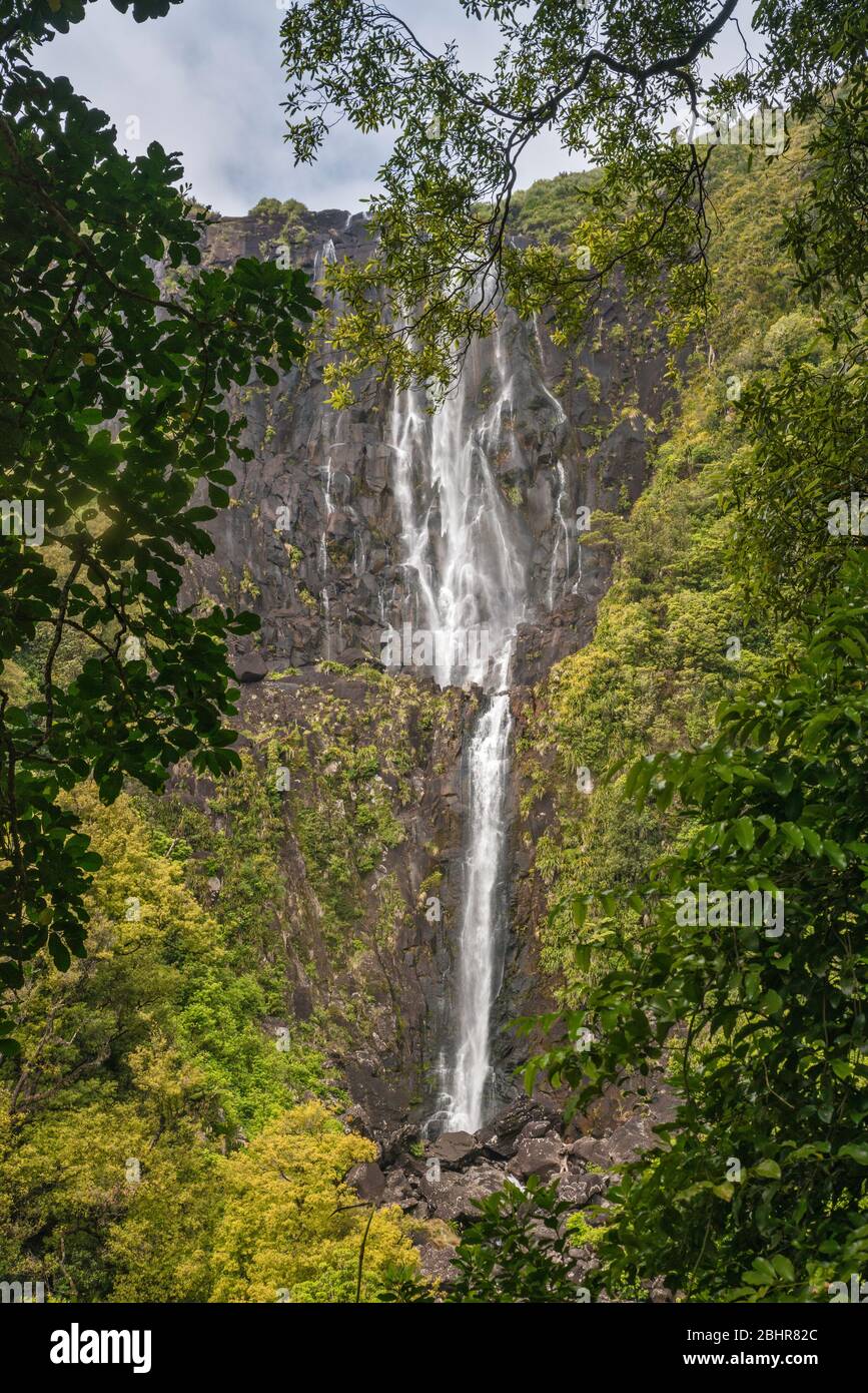 Cascate Wairere, Kaimai Range, Gordon Park Scenic Reserve, Waikato Region, North Island, Nuova Zelanda Foto Stock
