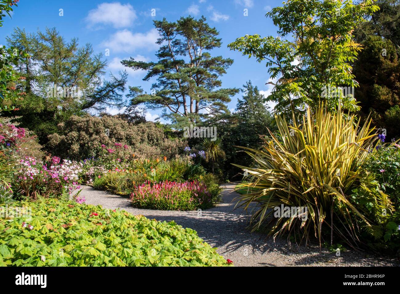 Arduaine Garden, Melfort, Argyll, NTS Foto Stock