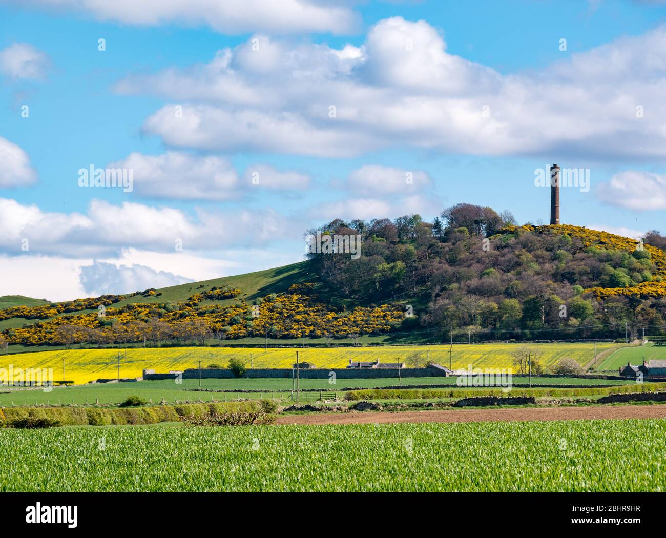 Vista attraverso i campi coltivati agricoli soleggiati alla torre in cima alla collina, il monumento vittoriano Hopetoun, East Lothian, Scozia, Regno Unito Foto Stock