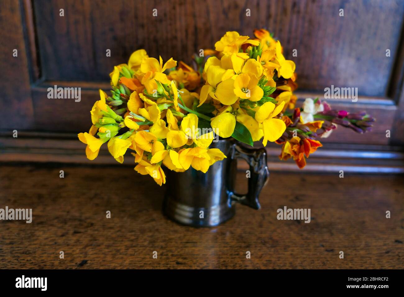 Wallflowers in caraffa con sfondo in legno antico Foto Stock