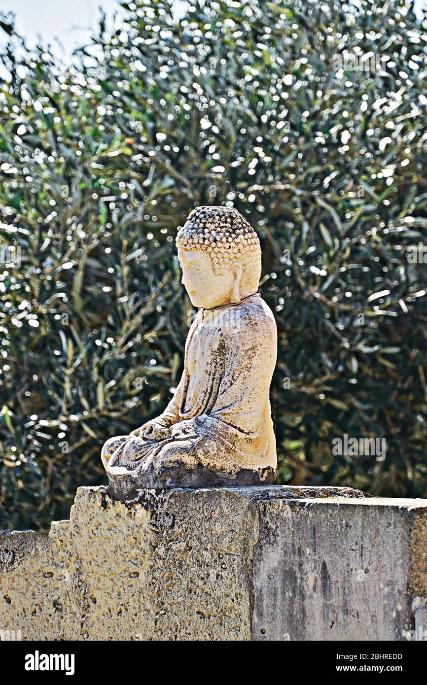 Il giorno di Vesak è il compleanno del Buddha. Statua del piccolo Buddha sulla recinzione in giardino di ulivi Foto Stock