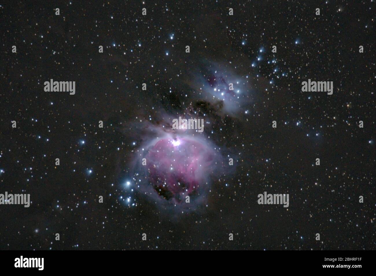 Orion nebulosa M42, proveniente dalla Romania Foto Stock