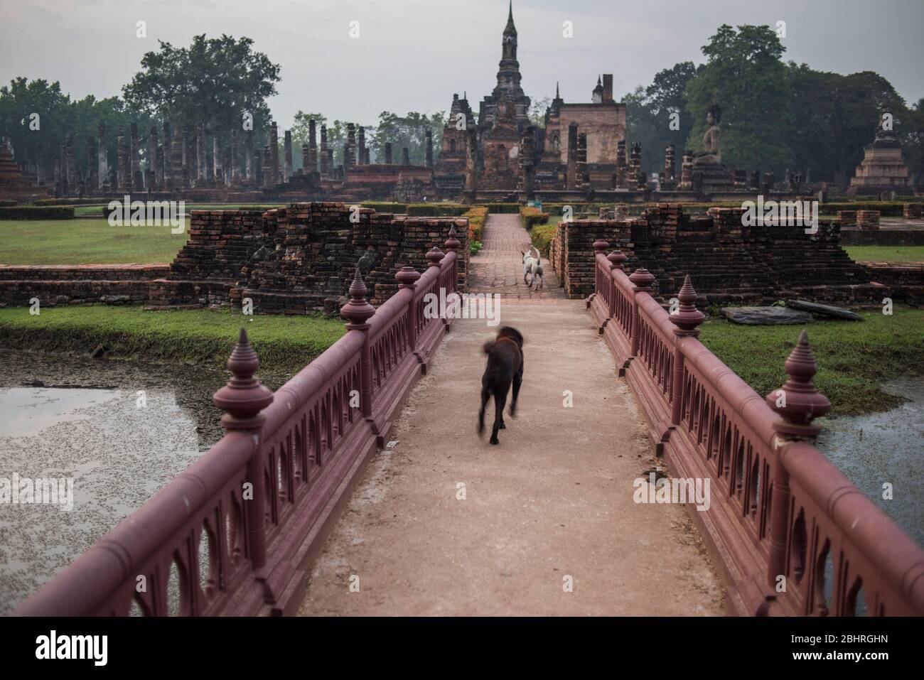 Wat Mahatat tempio , Sukhothai Historical Park, Sukhothai, Thailandia. Foto Stock