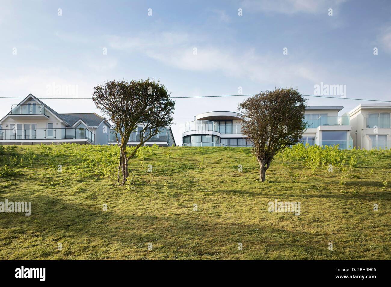 Fila di fronte spiaggia, grandi case moderne dietro due piccoli alberi su una riva erbosa in Seasalter, Kent Inghilterra Foto Stock