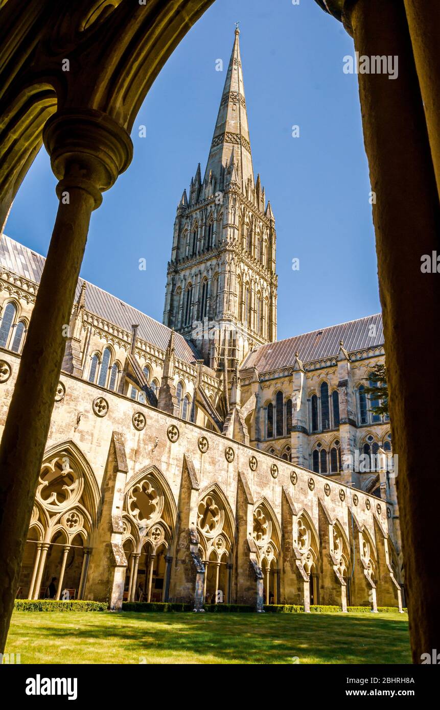 Guardando verso l'alto la guglia torreggiante della Cattedrale di Salisbury attraverso i chiostri gotici in una giornata di primavera soleggiata Foto Stock