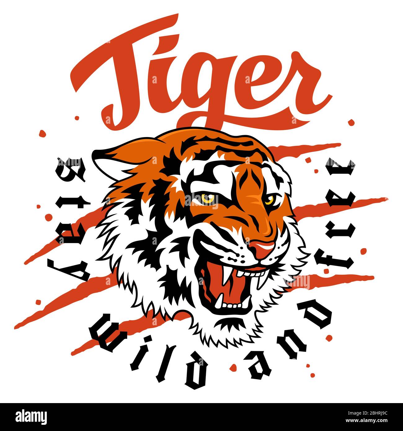 Illustrazione vettoriale della tigre giapponese e slogan alla moda per il design della t-shirt Illustrazione Vettoriale