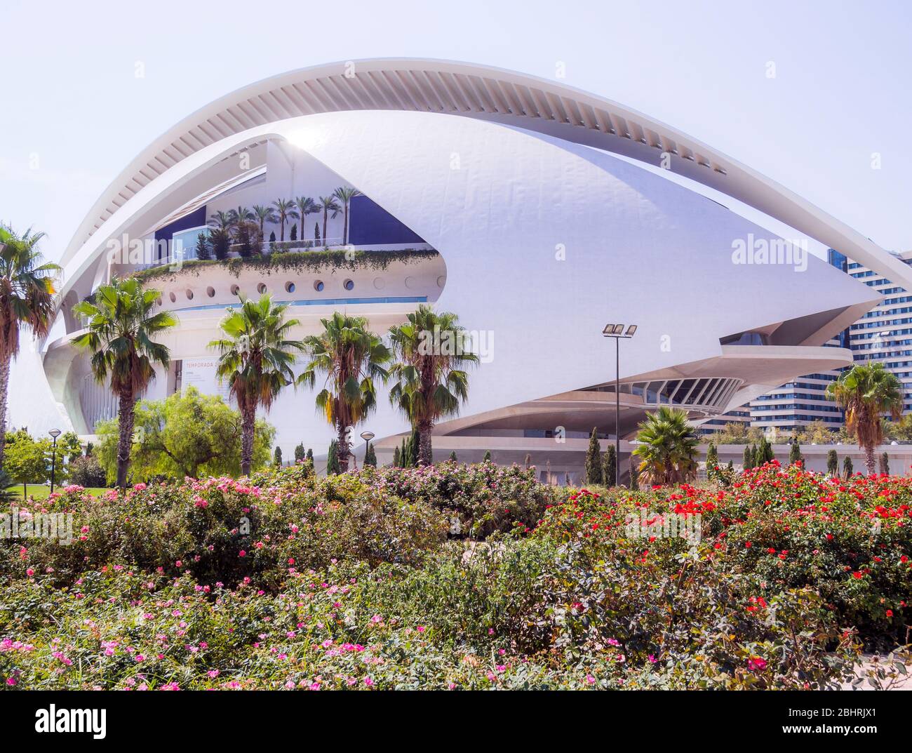 Palacio de las artes Reina Sofía en la Ciudad de las Artes y las Ciencias. Valencia. Comunidad Valenciana. España Foto Stock